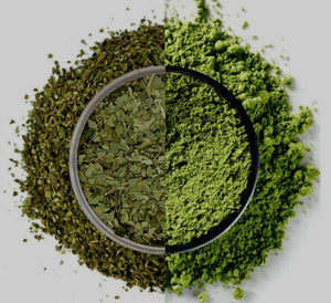 Matcha or Maté: which one to choose?