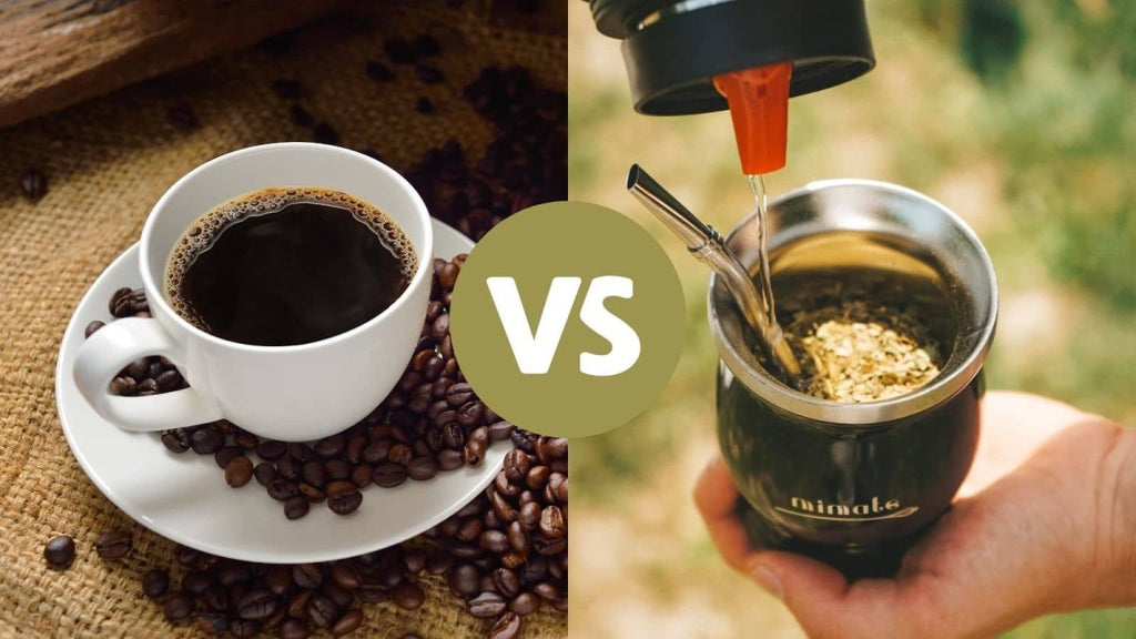 Quelles sont les différences entre le Maté, Thé et café ?