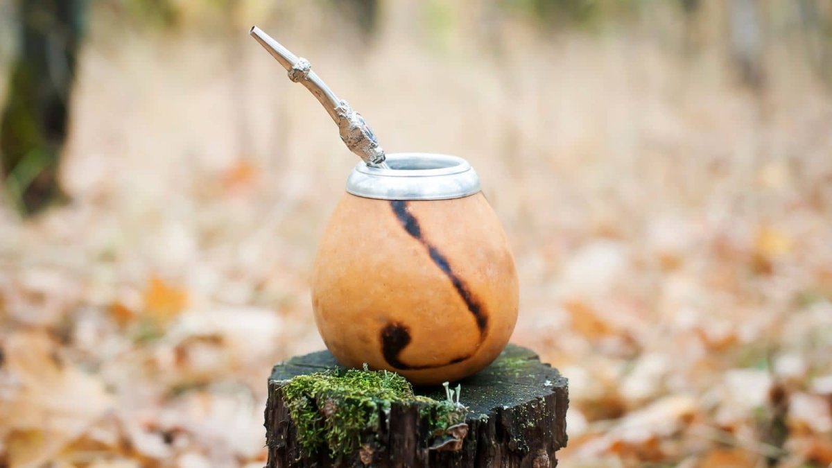 Why drink mate this fall?