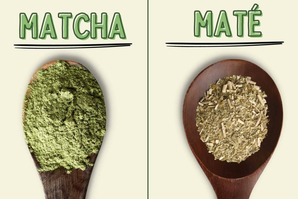 Matcha vs Mate tea: What are the differences? 