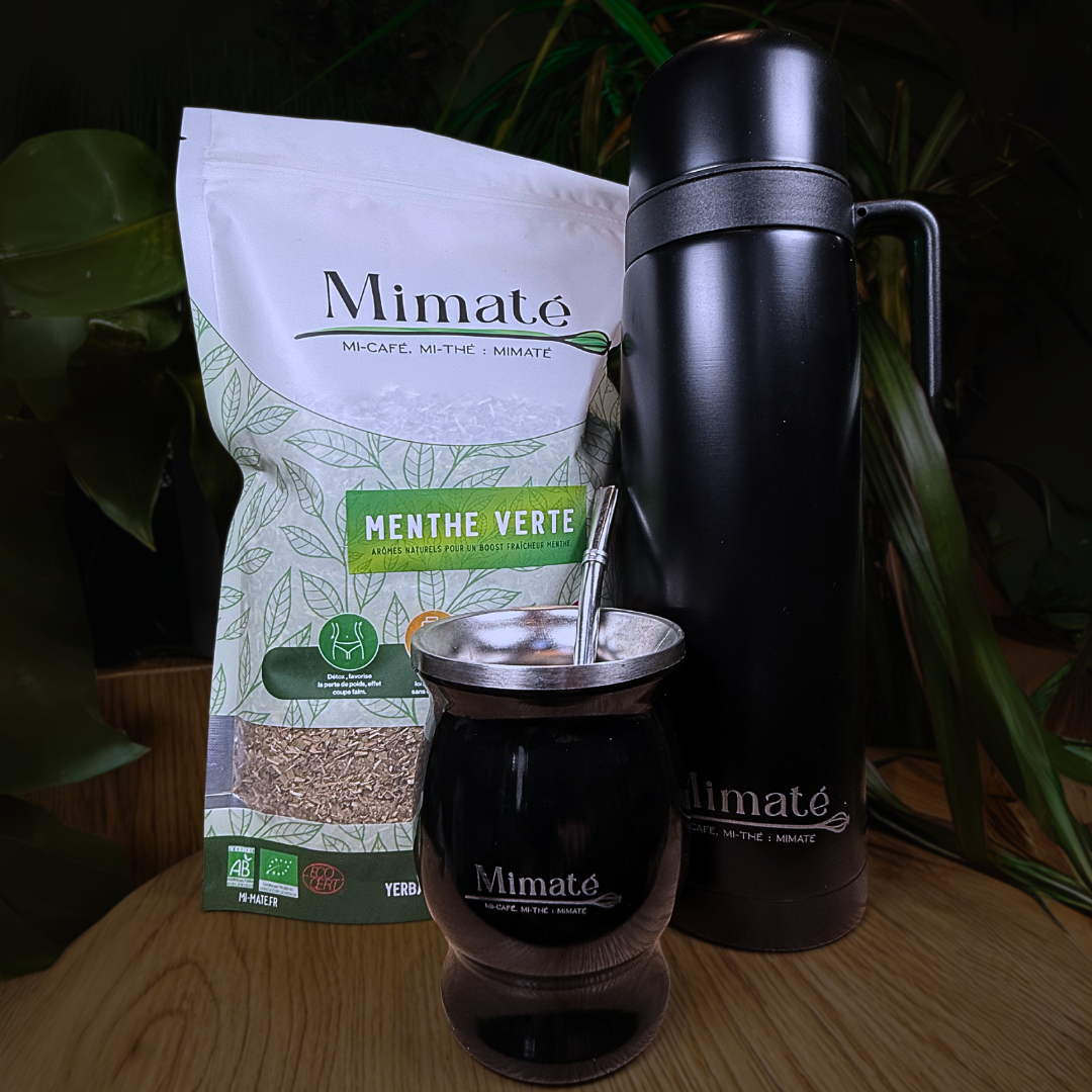 Kit découverte maté Inox Élégant ✨