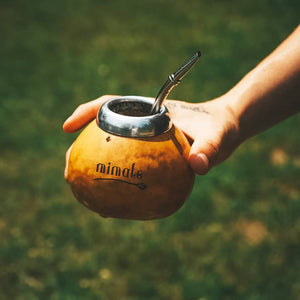 une calebasse traditionnelle d'argentine pour boire le maté