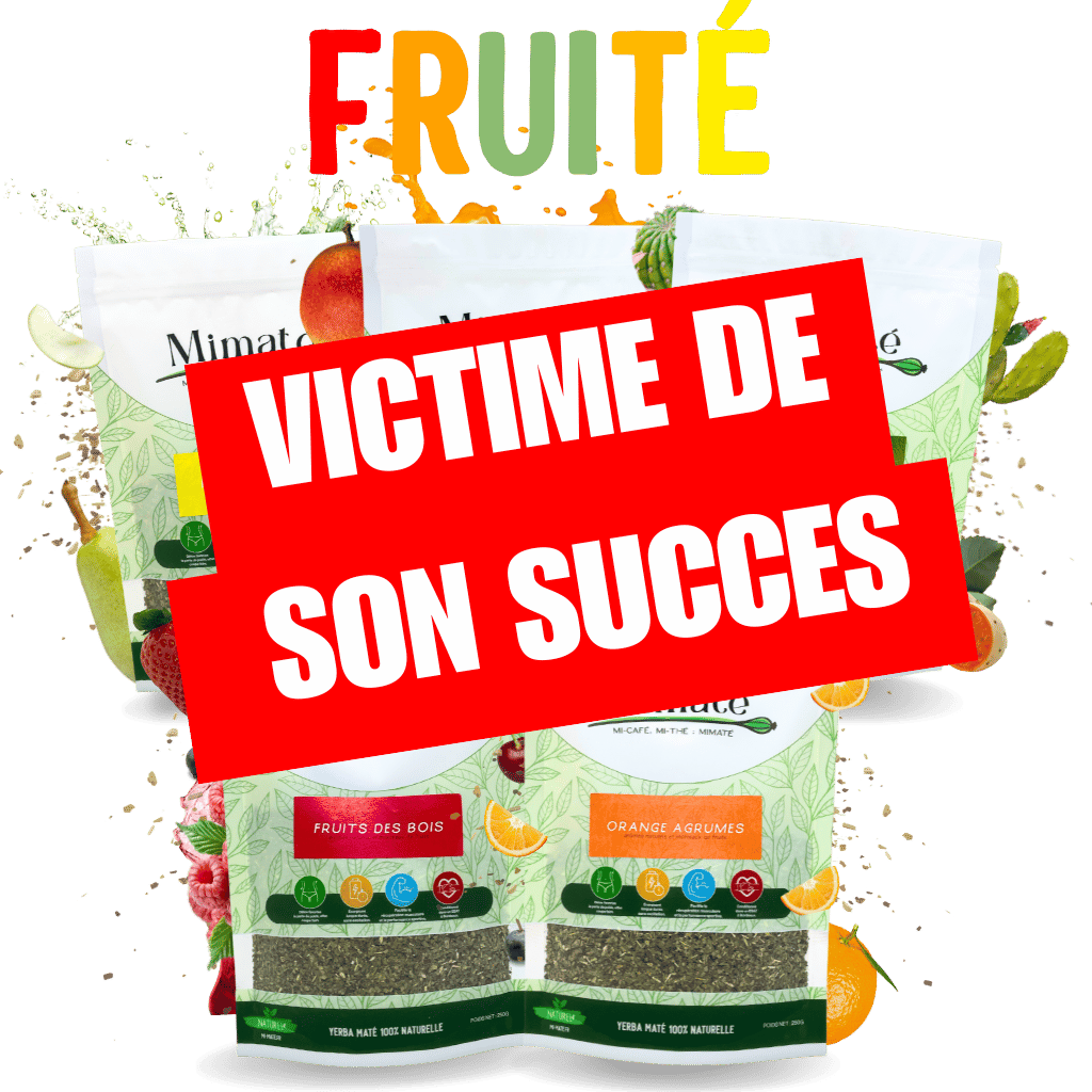 Lot ultime maté Fruité 🍊🍍🌵🍓🍑 - Mimaté