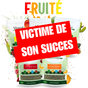 Lot ultime maté Fruité 🍊🍍🌵🍓🍑 - Mimaté