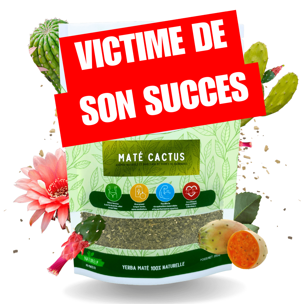 Maté cactus 🌵 - Mimaté