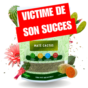 Maté cactus 🌵 - Mimaté