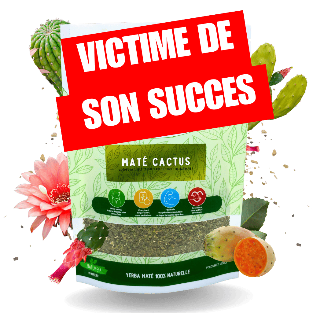 Maté cactus 🌵 - Mimaté