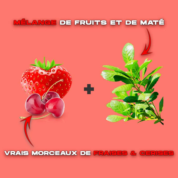 yerba maté fruits rouge bio