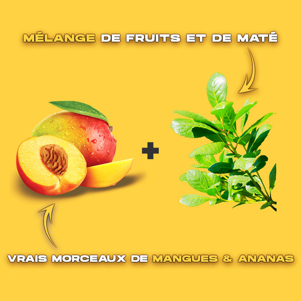yerba maté aromatisé fruits tropicaux bio